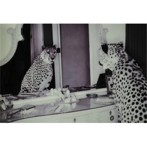Glassmaling - Cheeta - 100x150 cm