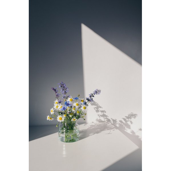 Plakat - Blomster
