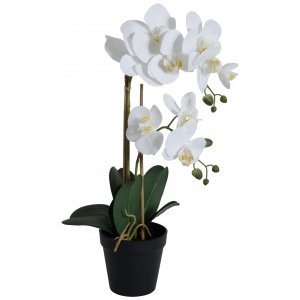 Kunstig plante - Orkidé 2 stengler H54 cm - Hvit