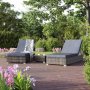 Dante 2 stk solsenger inkl bord - Kunstrotting (gr) + Flekkfjerner for mbler