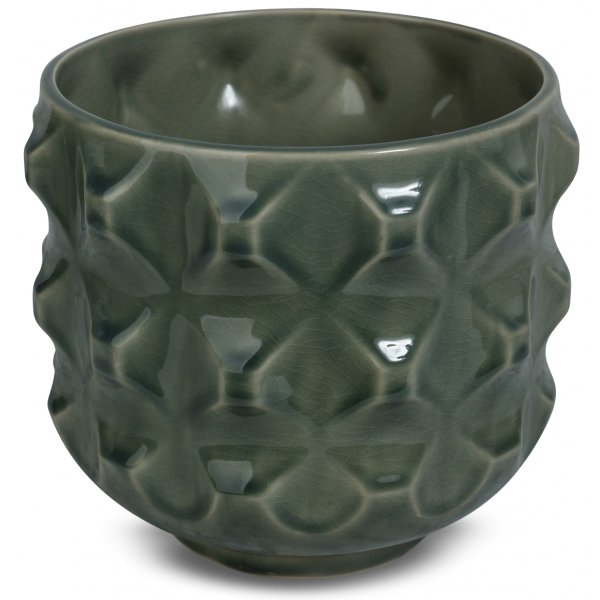 Krukke Corokia H17 cm - Grnn