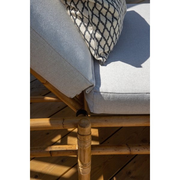 Cane solseng - Gr/rotting