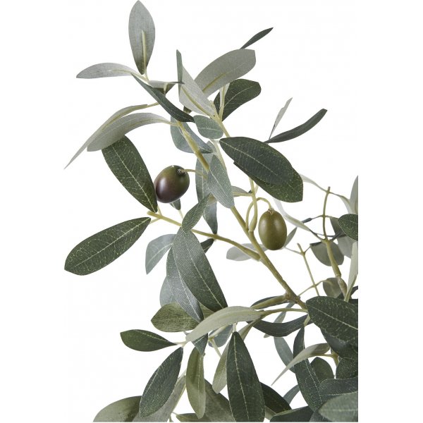 Kunstig oliventre - H: 61 cm Kunstig oliventre - H: 61 cm