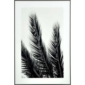 Glassmaling - B&W Palms - 120x80 cm