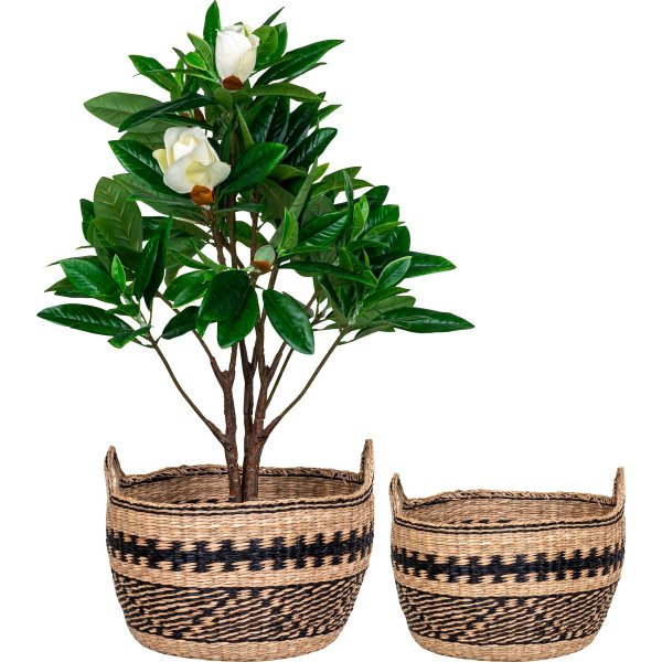 Teba kurvsett - Beige/svart Teba kurvsett - Beige/svart