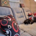 Kundebilde Vera 3-seters sofa i grått stoff