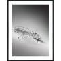 Posterworld - Motiv Skipsvrak - 50x70 cm
