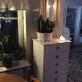 Kundebilde Century høy kommode - Hvit/lys eik