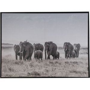 Tavla Elefanter - 80x60 cm Tavla Elefanter - 80x60 cm
