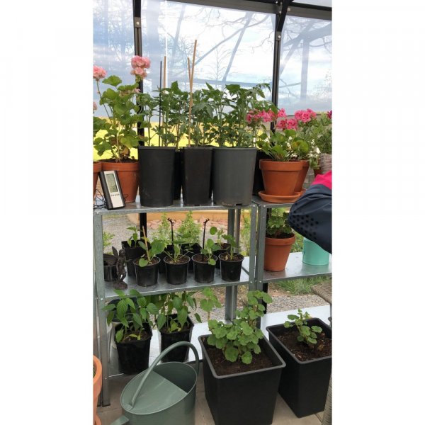 Drivhus Neptunus - 12,8 m² + Drivhus Neptunus - 12,8 m² +