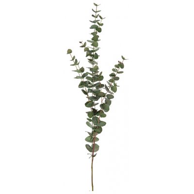 Eukalyptus kunstig plante