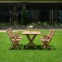 Salt spisegruppe for uteplassen spisebord 120x70 cm med 4 stk. Salt karmstoler - Teak